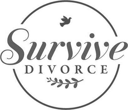 SURVIVE DIVORCE trademark