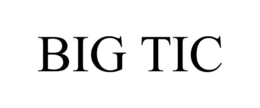 BIG TIC trademark