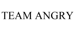 TEAM ANGRY trademark