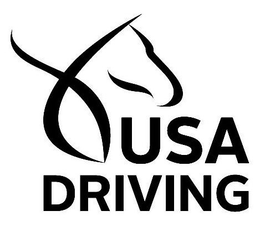 USA DRIVING trademark