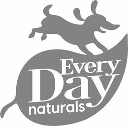 EVERY DAY NATURALS trademark