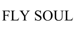 FLY SOUL trademark