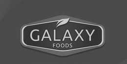 GALAXY FOODS trademark