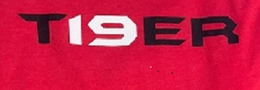 T19ER trademark