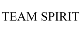 TEAM SPIRIT trademark