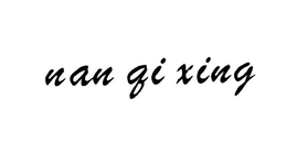 NAN QI XING trademark