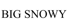 BIG SNOWY trademark