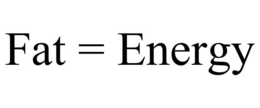 FAT = ENERGY trademark
