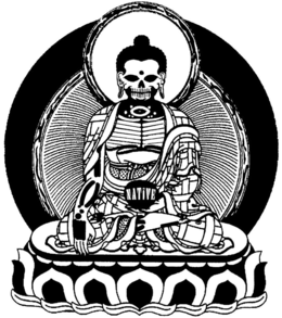 NATIVE trademark