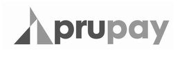1 PRUPAY trademark