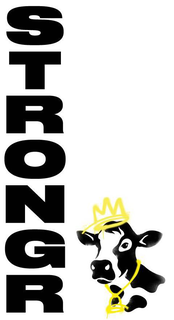 STRONGR trademark