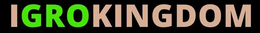 IGROKINGDOM trademark