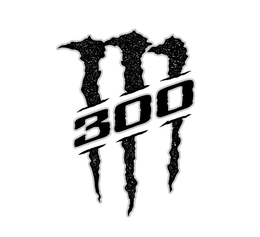 M 300 trademark