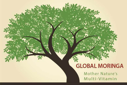 GLOBAL MORINGA MOTHER NATURE'S MULTI-VITAMIN trademark