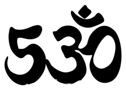 53O trademark
