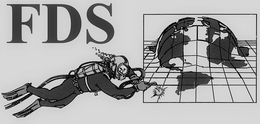 FDS trademark