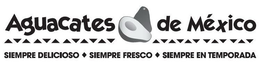 AGUACATES DE MÉXICO SIEMPRE DELICIOSO SIEMPRE FRESCO SIEMPRE EN TEMPORADA trademark