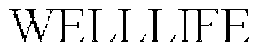 WELLLIFE trademark