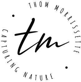 THOM MORRISSETTE CAPTURING NATURE TM trademark