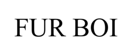 FUR BOI trademark