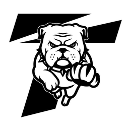 T trademark