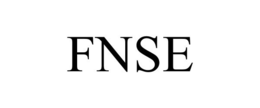 FNSE trademark