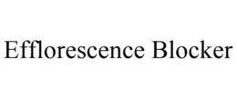EFFLORESCENCE BLOCKER trademark