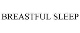 BREASTFUL SLEEP trademark