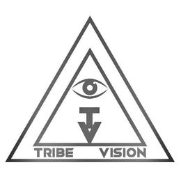 T V TRIBE VISION trademark