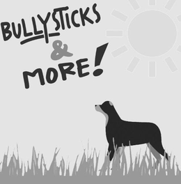 BULLYSTICKS & MORE trademark