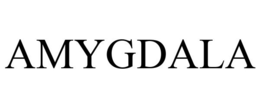 AMYGDALA trademark