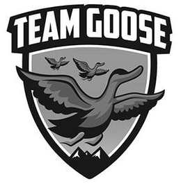 TEAM GOOSE trademark