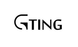 GTING trademark
