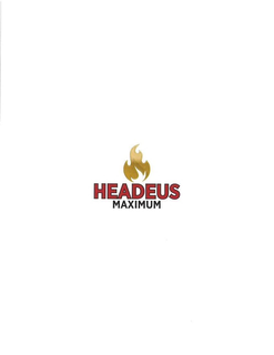 HEADEUS MAXIMUM trademark