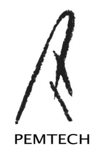 P T PEMTECH trademark