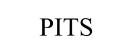 PITS trademark