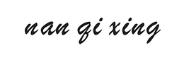 NAN QI XING trademark