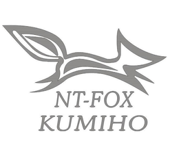 NT-FOX KUMIHO trademark