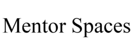 MENTOR SPACES trademark