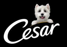 CESAR trademark