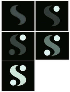 S trademark