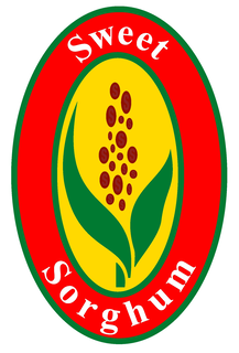 SWEET SORGHUM trademark