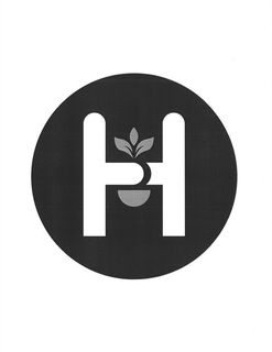 H trademark