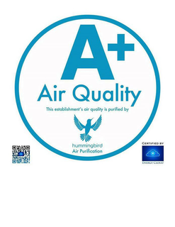 A+ AIR QUALITY THIS ESTABLISHMENT'S AIR QUALITY IS PURIFIED BY HUMMINGBIRD AIR PURIFICATION CERTIFIED BY ENERGY CLOUD trademark