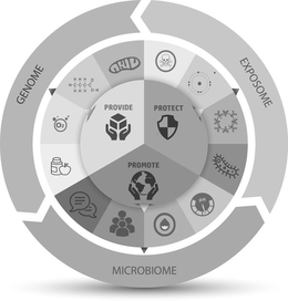 PROVIDE PROTECT PROMOTE  GENOME EXPOSOME MICROBIOME Y PH O2 HCO trademark