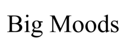 BIG MOODS trademark