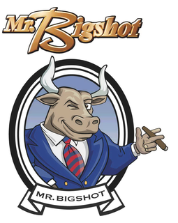 MR. BIGSHOT MR. BIGSHOT trademark