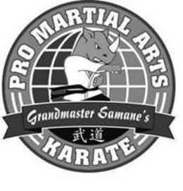 GRANDMASTER SAMANE'S PRO MARTIAL ARTS KARATE trademark