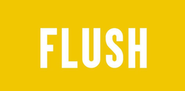 FLUSH trademark