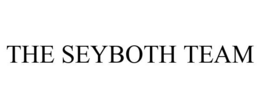 THE SEYBOTH TEAM trademark